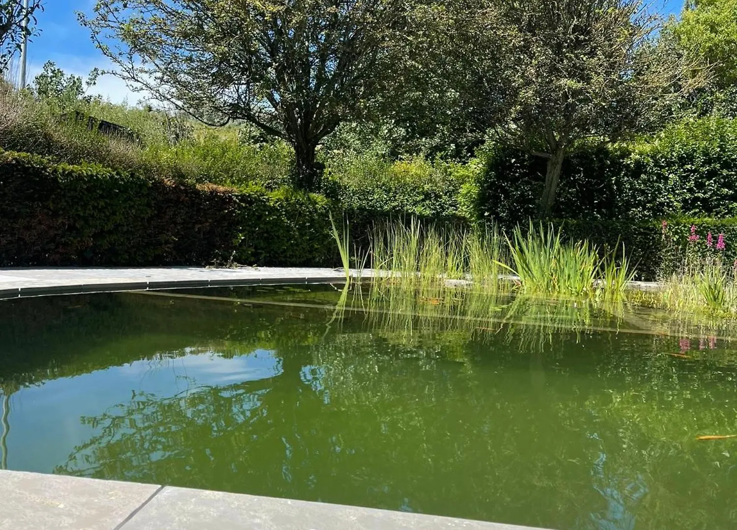 Holiday home Villa In Front Of The Sea With Natural Swimming Pond Ostend