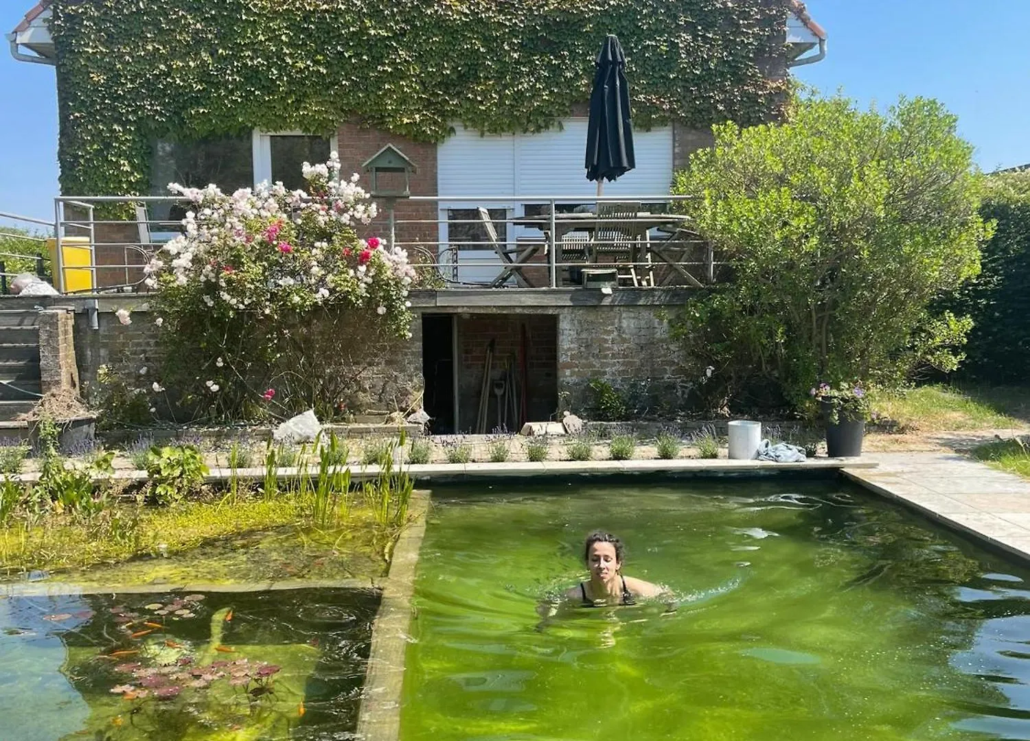 Villa In Front Of The Sea With Natural Swimming Pond Ostend 0*,